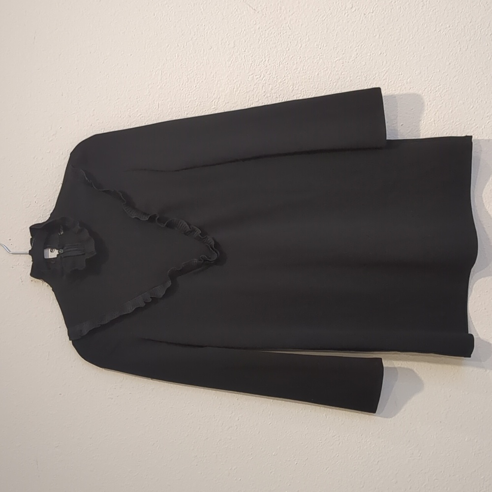 Zara Long Sleeve Black Mini Dress With Ruffles Collar Size Small